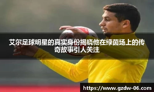 艾尔足球明星的真实身份揭晓他在绿茵场上的传奇故事引人关注